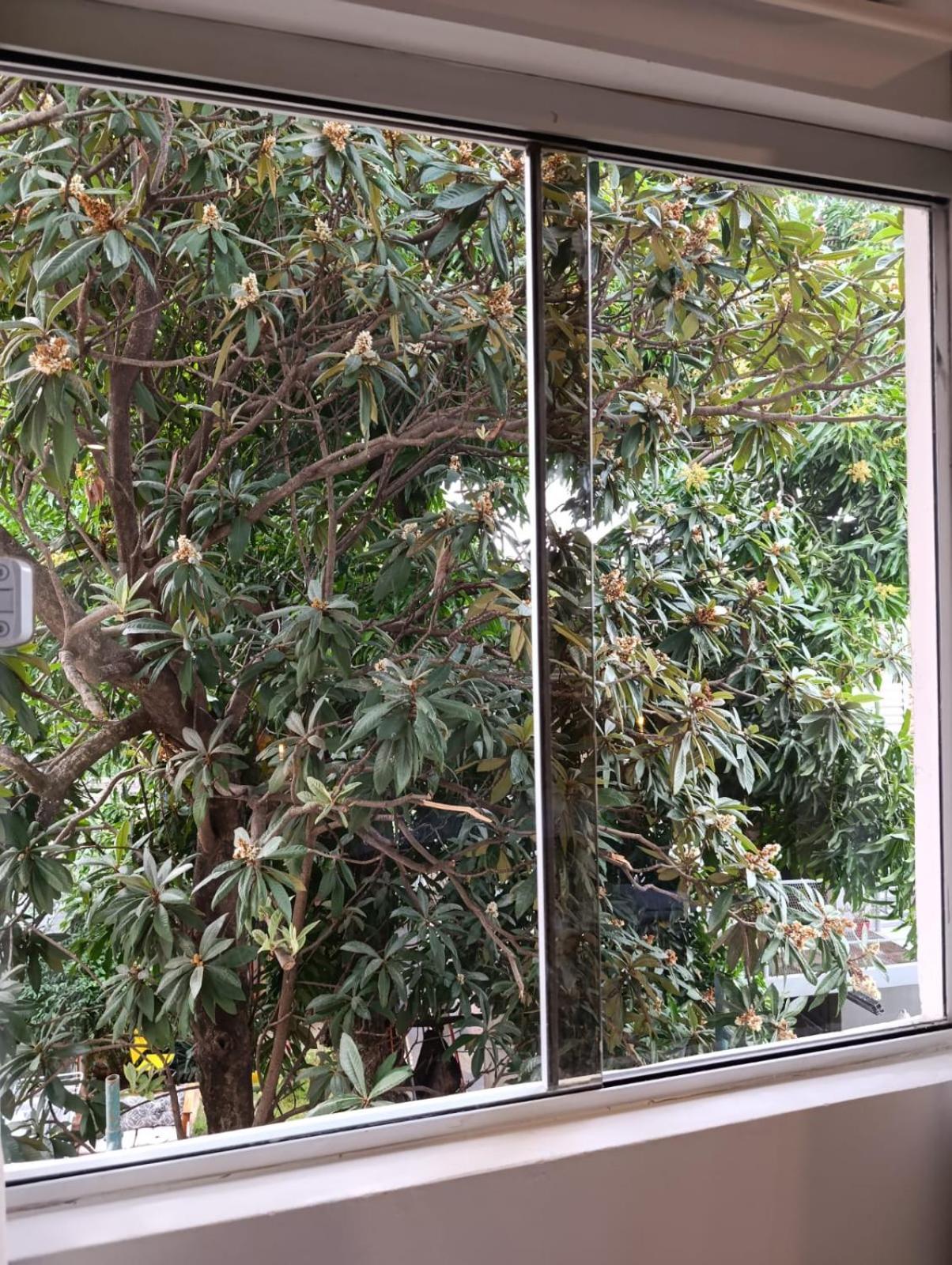 Taguato Apartamento Assunção Exterior foto
